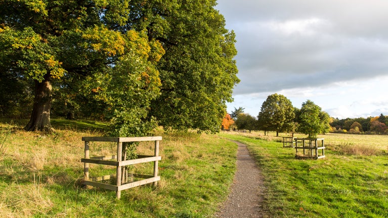 A view up the path within the parkland at Acorn Bank, Penrith
